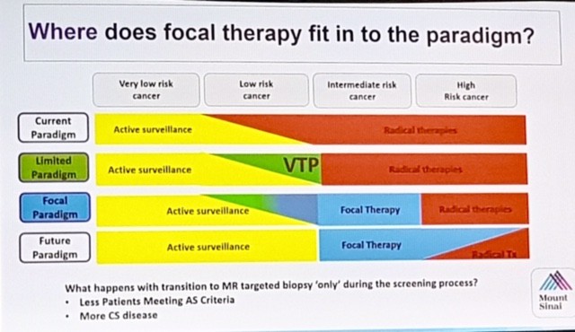 Focal Therapy Paradigm