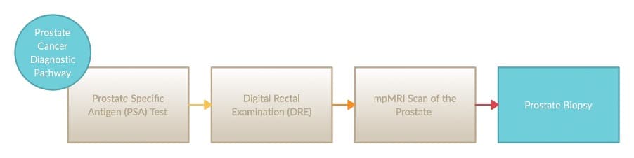 Prostate biopsy, part of the prostate cancer screening pathway