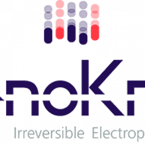 nanoknife-logo